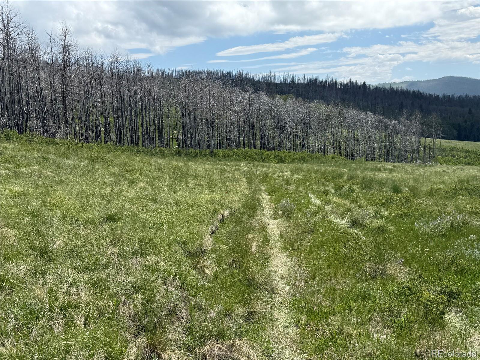 Lot 428 Powers Road