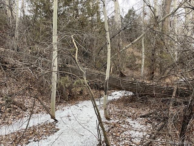 Lot 2242 Slegers Road