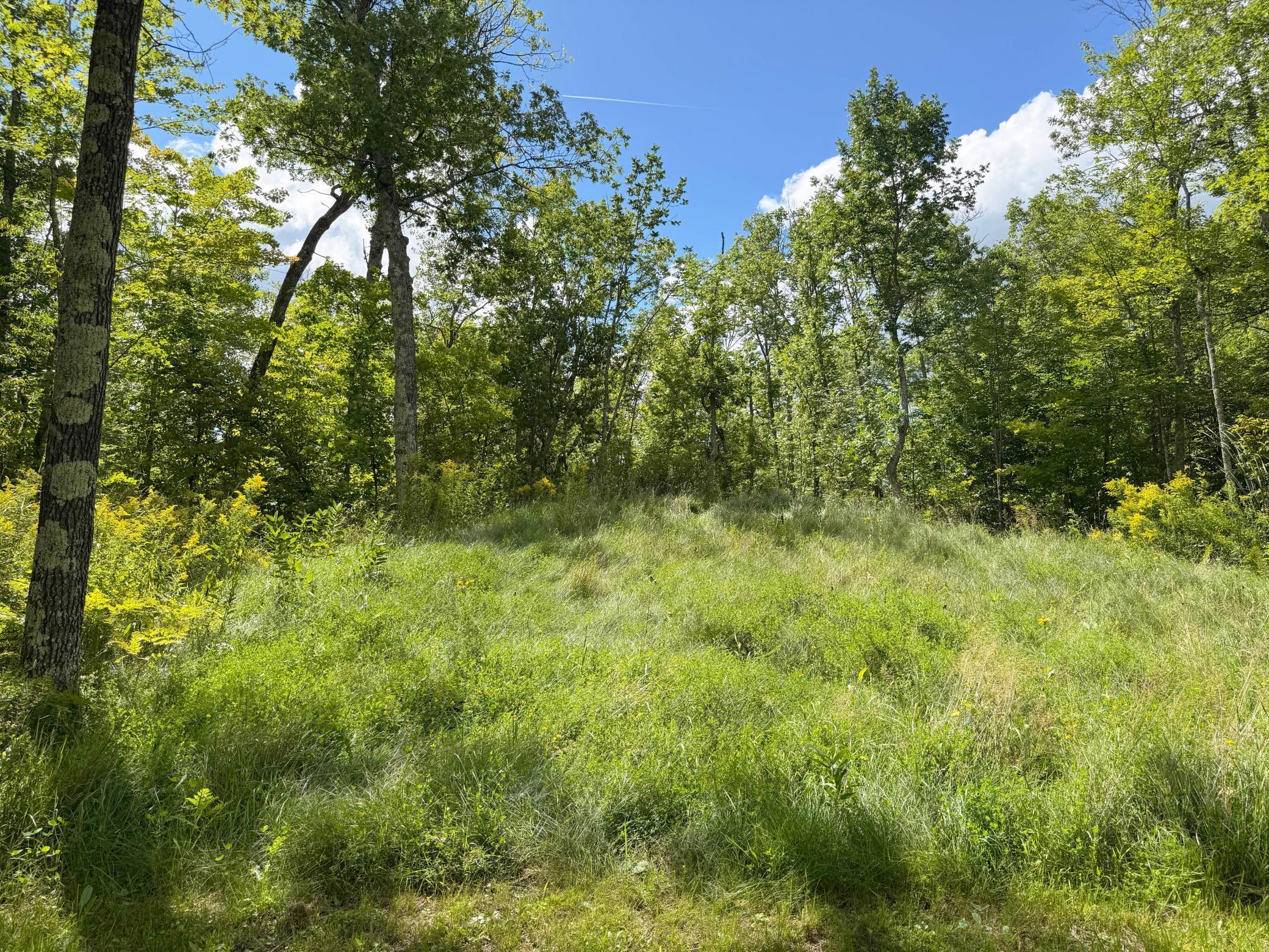 27023 Fawn Lane