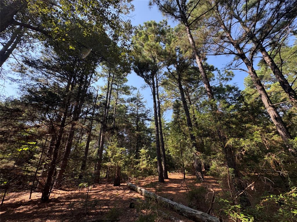 If you are looking for undisturbed natural beauty here is your place! Over 42 acres in this tract that is a part of a generational family estate and being offered for sale for the first time in many many years. The beautiful rolling property provides great natural elevation changes (over 40') throughout with large Oaks and Hardwood timber surrounded by smaller trees. There is a hilltop near the center of the property that is surrounded by massive Pine trees that enhance the uniqueness of this property and opportunities. This very private property offers many opportunities as homesite, weekend camping, hunting, recreation, investment etc. There is a seasonal creek near the back of the property with a small amount of floodplain during wet time of year. Also,  a possible spring located along the hillside as this area is known for the Carrizo-Wilcox aquifer and has great groundwater if you desire. There is NO KNOWN RESTRICTIONS allowing you to put your mark on this place in nature. Located on a good state maintained FM highway and has electric crossing property. Located at the Wood- Hopkins County line and centered between Sulphur Springs, Winnsboro, Quitman and Emory for some of the best living in East Texas. Located just a few miles from world famous Lake Fork for great fishing.