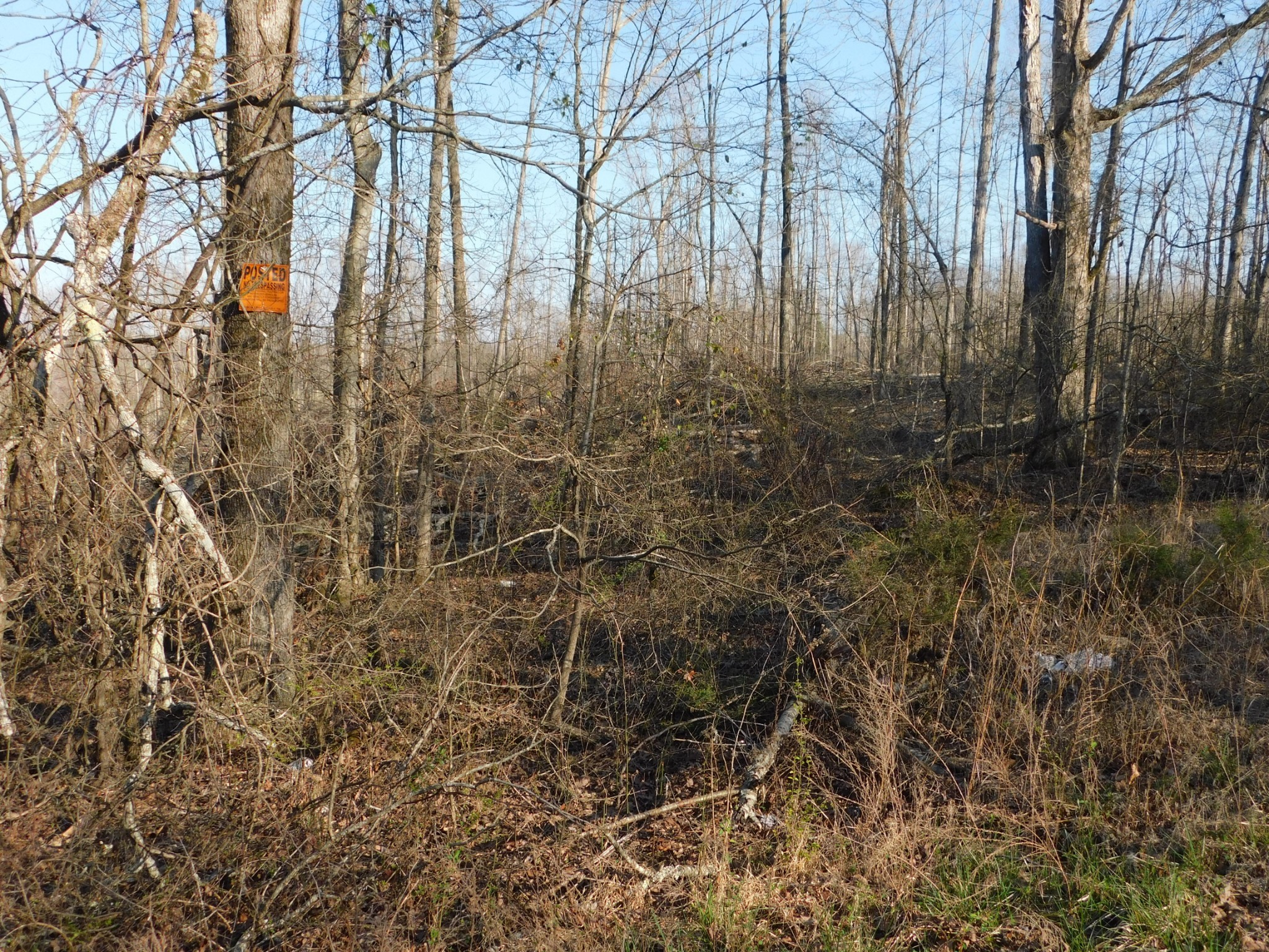 0 Lucas Ridge Road