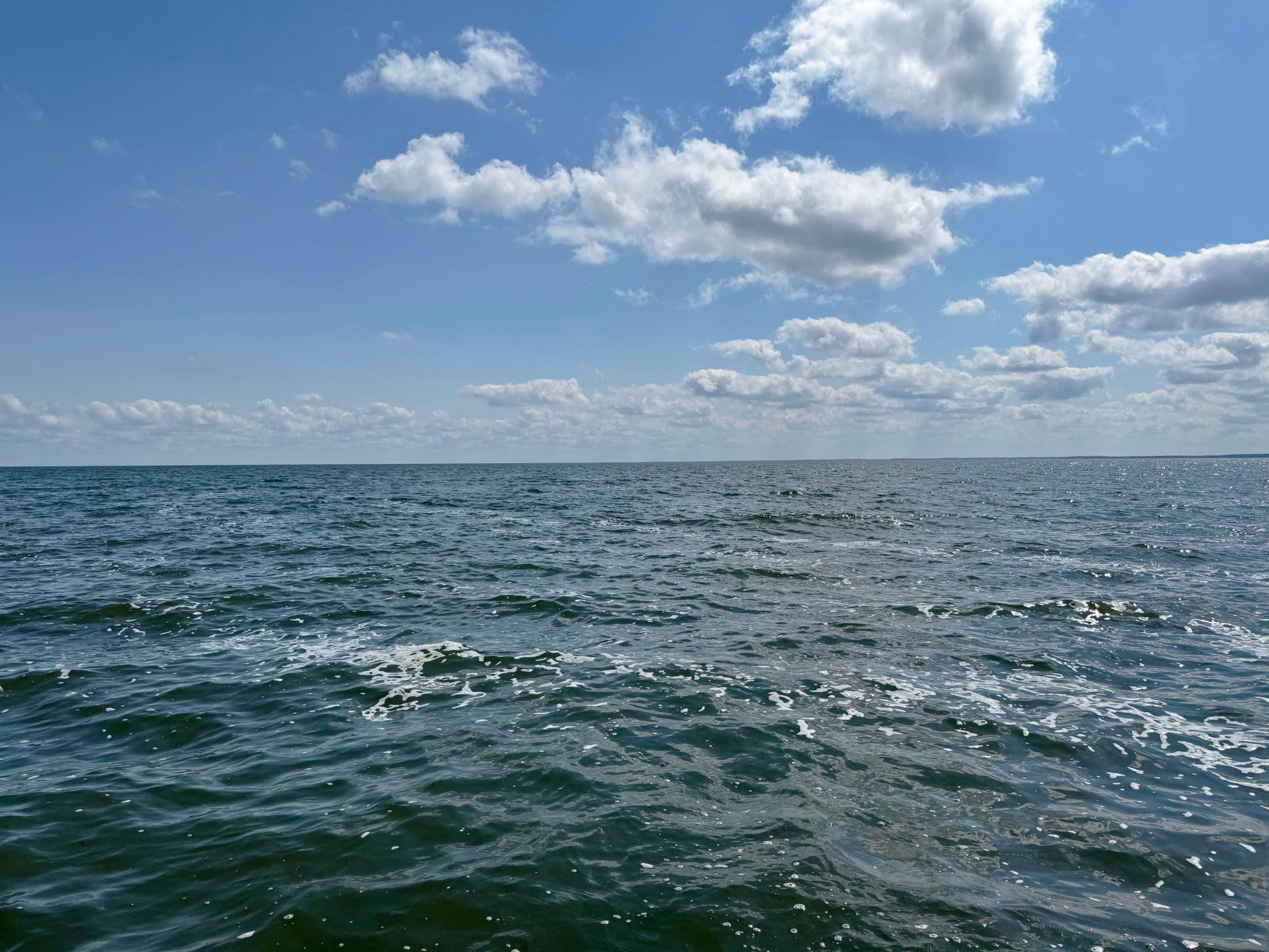 44205 Conifer Street