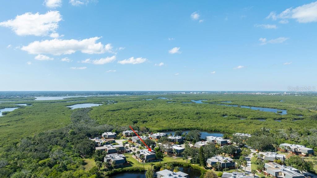 Property View 52
