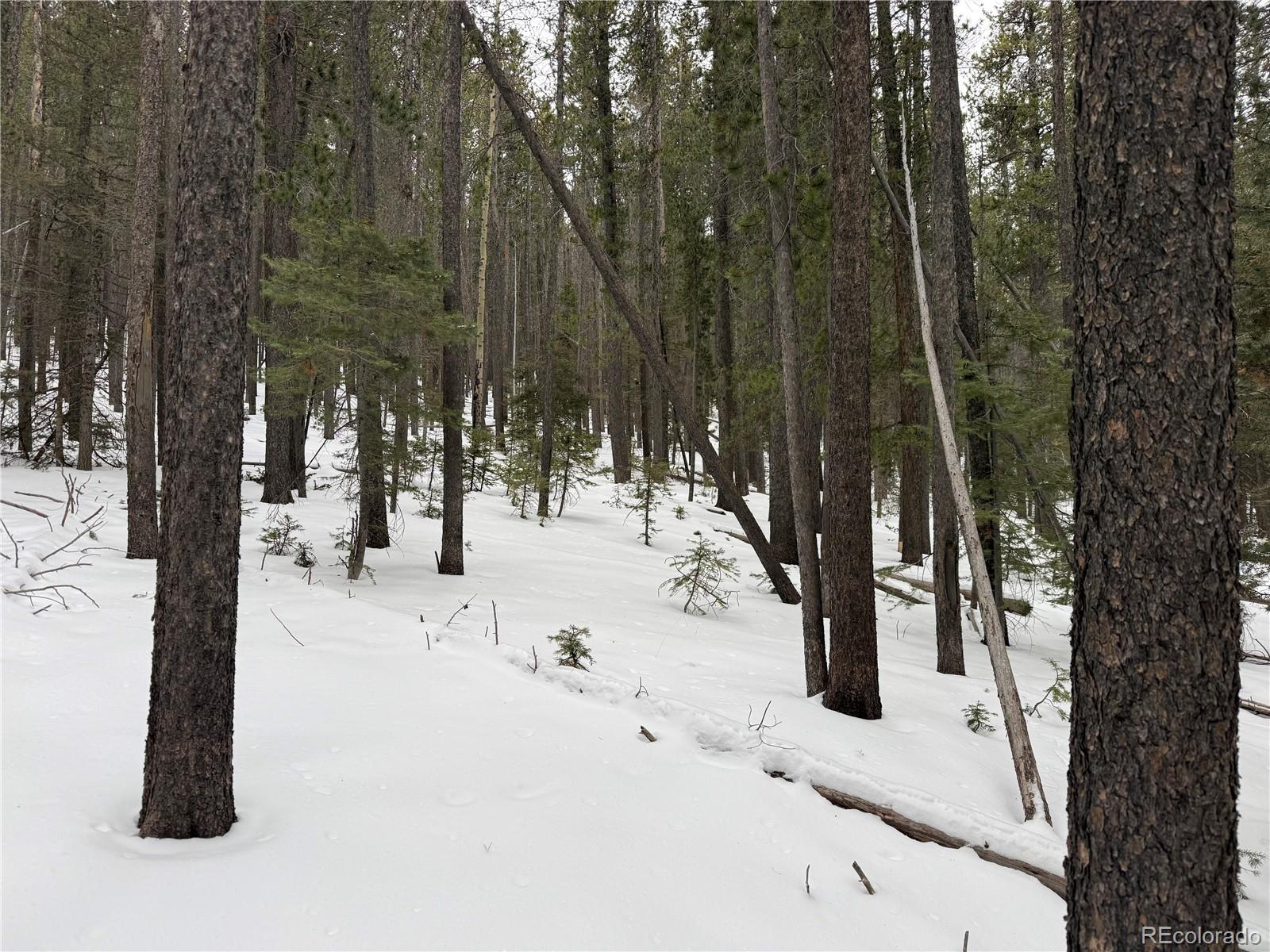 Lot 2759 Purnell Lane