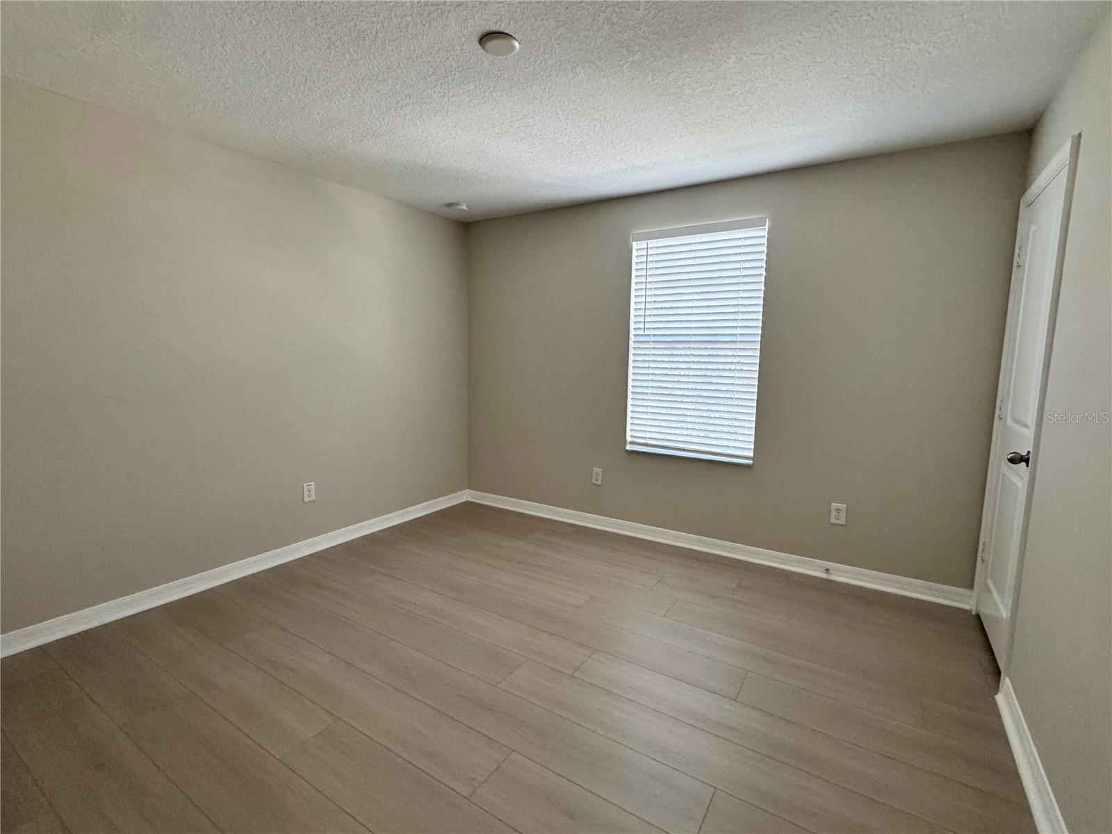 10013 Crested Fringe Drive