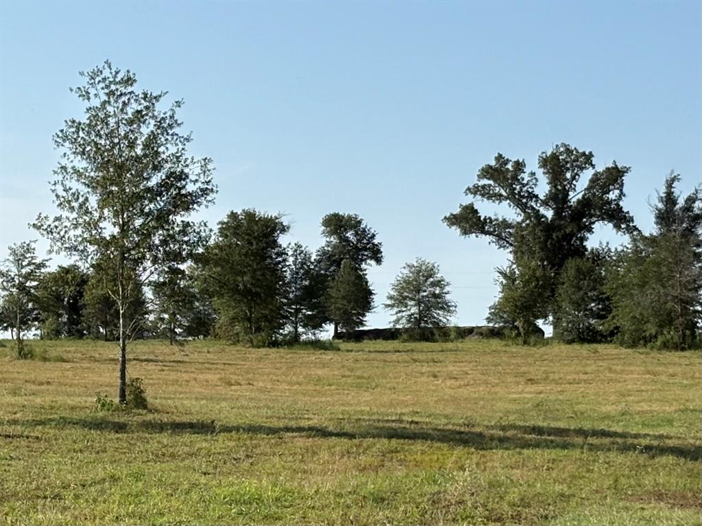 Recently cleared tract ready for that new home. This tract offers over 1100' of frontage on FM 69 and CR 2425 for future use. Approx. 11.75 rolling acres (possibly more available) in good sandy soil. Property has enough elevation changes and scattered trees to provide some character and good building site. This is an old homplace site that offers plenty of shade trees on the hill. There is plenty of room for a home, shop, barn, garden and raise a few animals.  There is a large ranch to the east to provide some privacy and wildlife. The rolling elevation should allow possibility of building a private pond for your enjoyment. Located in the sought after Como Pickton CISD and is currently ag valuation on taxes. Located only 5.5 miles from Como, approximately. 15 minutes from both Sulphur Springs and Winnsboro for shopping, festivities and great dining. Also, only about 10-15 minutes from famous Lake Fork for great fishing. Property will need a water well, currently co-op water not available, electricity is available at the road and serviced by Farmers Electric Co-op. Only 3 tracts available. MLS # 20864744 and #20864736. Survey will be needed.