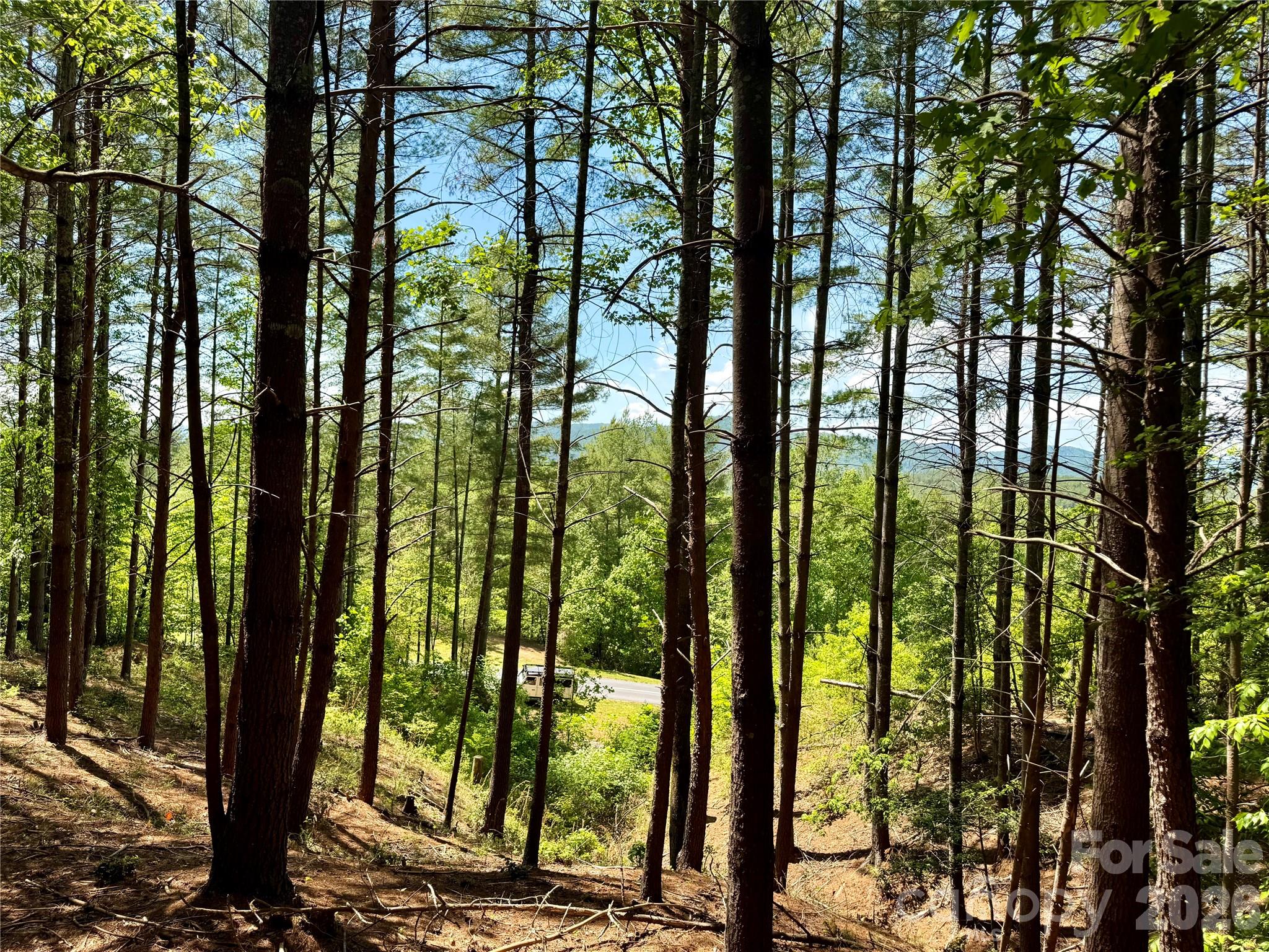 Lot 104 Johns Ridge Parkway 104
