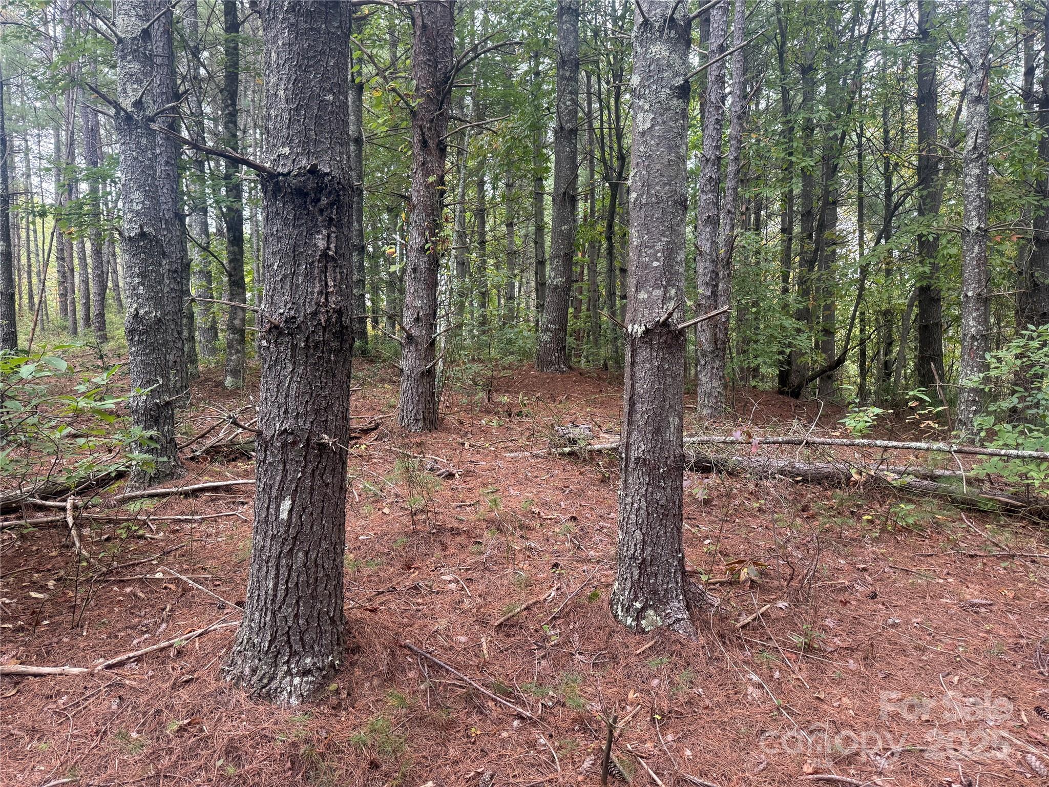 9587 Shortoff View Terrace 57