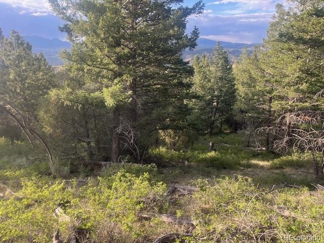 Lot 4630 Spring Road