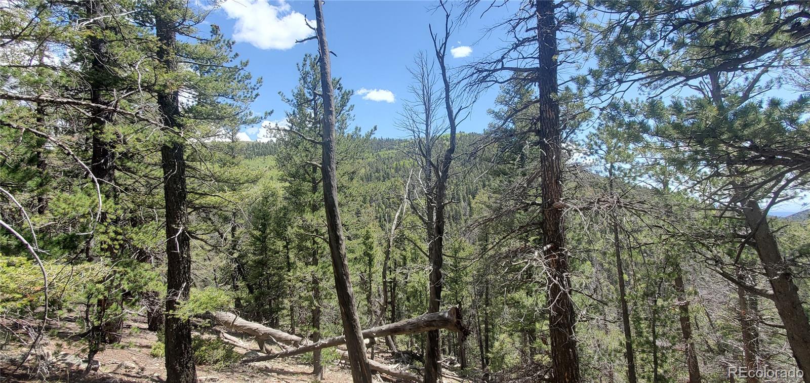 Lot 6764 Kerrigan Road