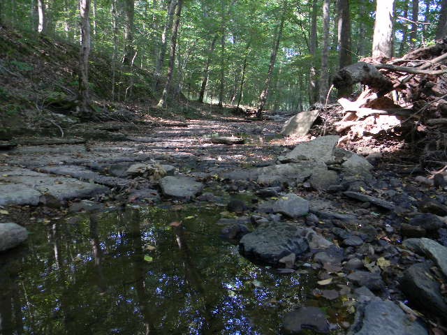 0 Traylor Branch Road