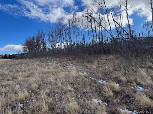 Lot 2397 Petito Drive