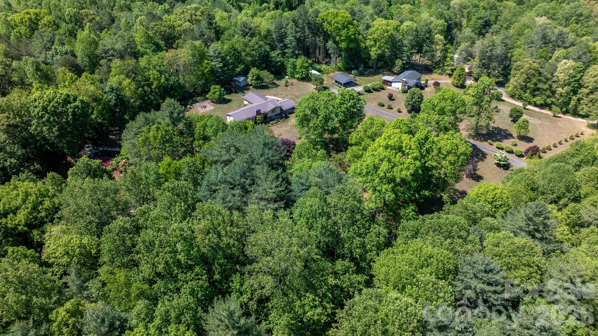 2113 White Pine Drive