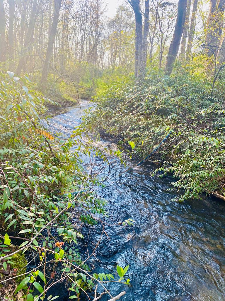 Nestled in the natural beauty of Graham County, this serene parcel of vacant land offers the perfect opportunity to build your dream home or secure a smart investment. Situated alongside a robust, flowing trout stream, the property provides a peaceful, picturesque setting that nature lovers will truly appreciate.  Whether you're seeking a private retreat or a basecamp for adventure, this property delivers. The surrounding area is renowned for its outdoor recreation, with easy access to Lake Santeetlah, the iconic Tail of the Dragon, and endless opportunities for rafting, hiking, fishing, and boating.  Wake up to the sounds of nature, enjoy the quiet tranquility, and unwind in a setting that feels worlds away from the everyday. This is more than land—it's your chance to create a personal getaway in one of the most beautiful and adventure-filled regions around.