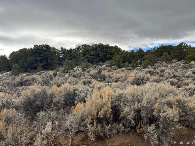 Lot 2087 Sandoval Road