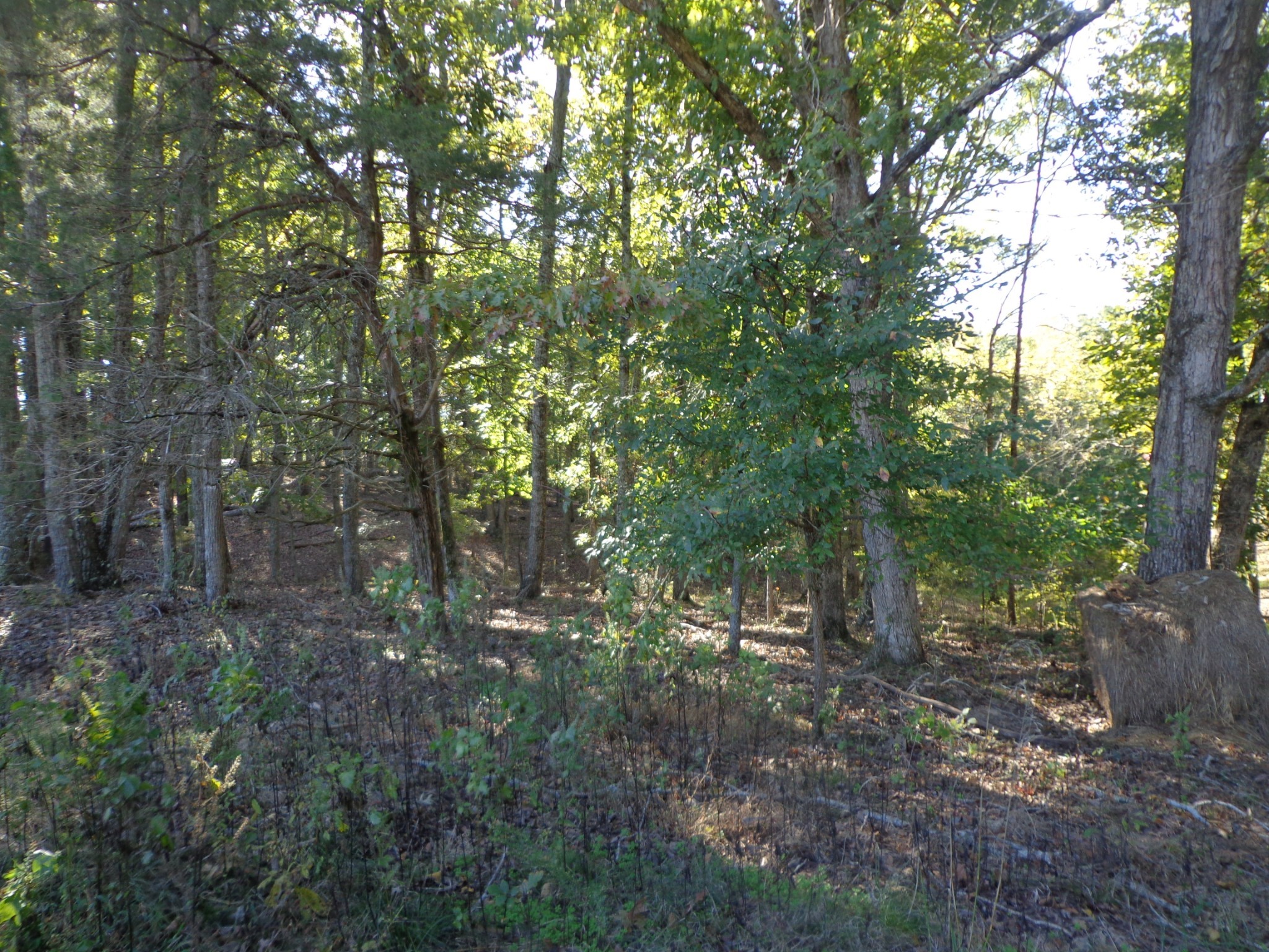 0 Halls Creek Road