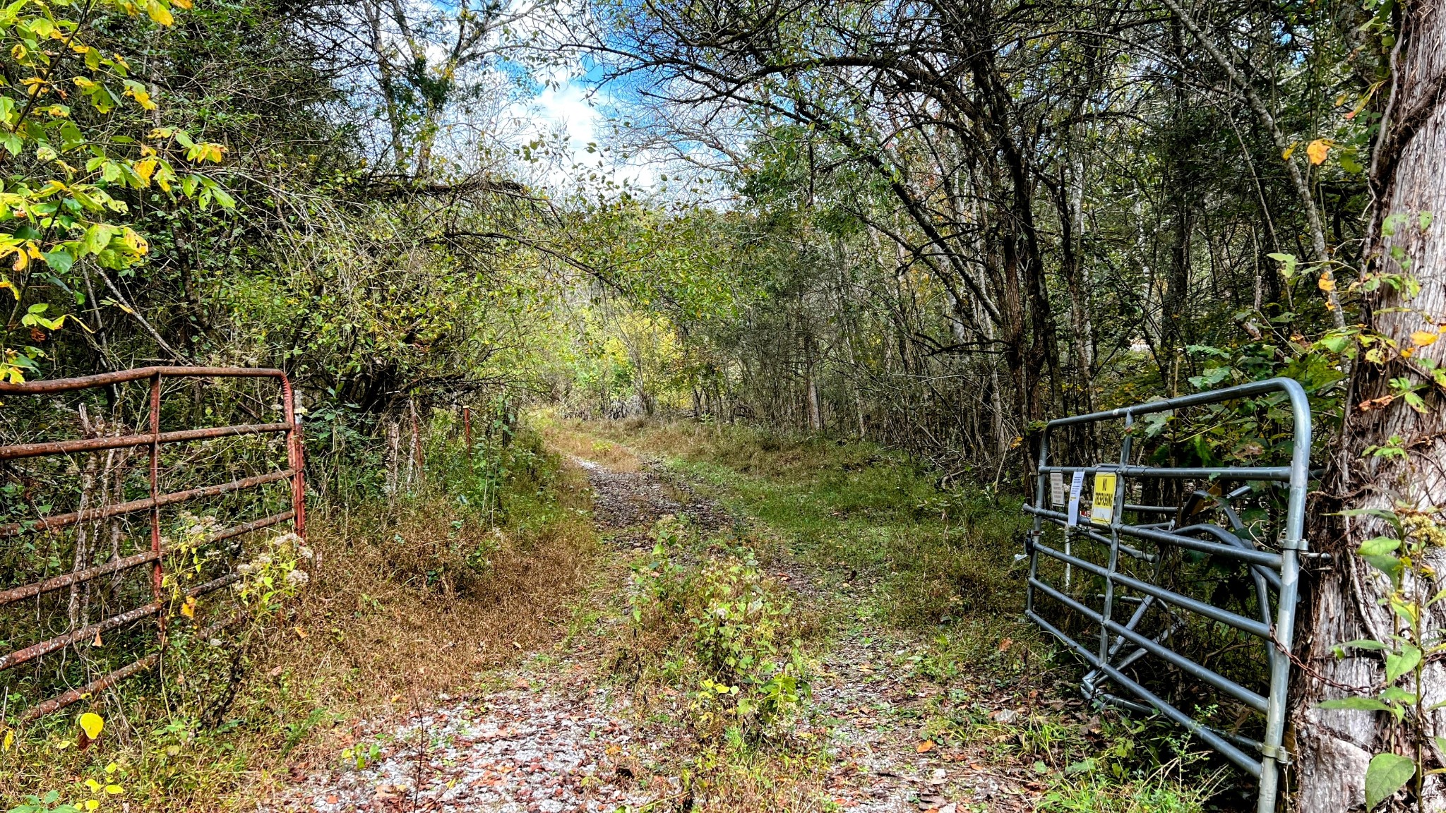 441 Pumpkin Hollow Rd