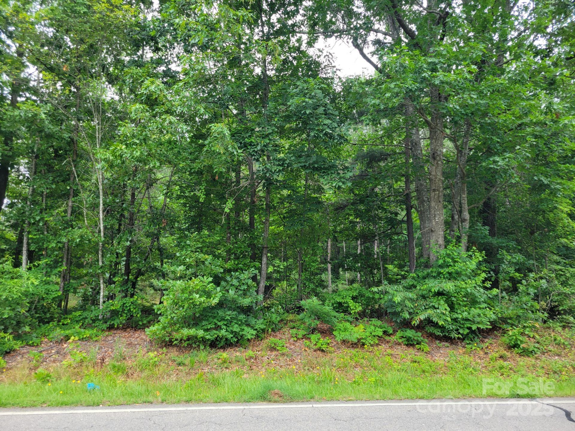 Very level lot that backs up to 452.76 acres of the Uwharrie National Forrest. Whether your looking to build your dream home, vacation home, or an investment property, this 4 acre parcel offers endless possibilities. Septic system already installed making it ready for development .