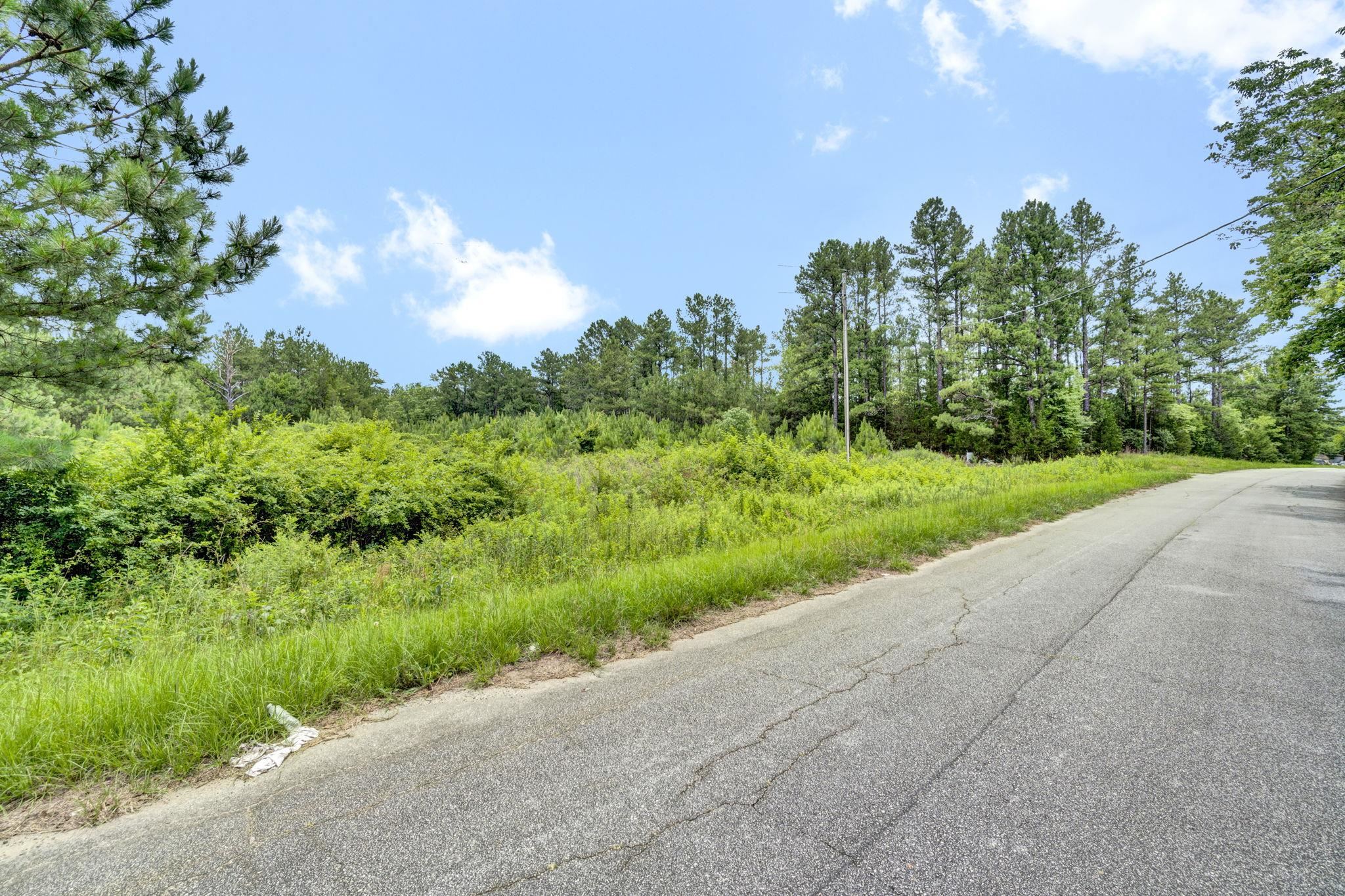 2.03 Acres – No Restrictions – Mobile Homes Allowed   Rare opportunity to own two adjoining lots totaling 2.03 acres in the desirable Clinton area of Laurens County, South Carolina. Parcel IDs 755-00-00-076 and 755-00-00-077 are being sold together, offering plenty of space for a homesite, mobile home, investment property, or future development.  Property improvements are already in place, including:  Existing septic tanks, well, & Electricity on site Mobile homes permitted, No known restrictions  This property offers the freedom and flexibility that is becoming increasingly difficult to find in the Upstate. Whether you're looking for a primary residence, rental property, or a place to set up a manufactured home, the groundwork has already been started.  Conveniently located in Clinton, with easy access to major employment, shopping, and dining areas. Approximately 30 minutes to both Greenville and Spartanburg, providing the perfect balance of country living and city convenience. Clinton and the surrounding Laurens County area continue to attract buyers seeking affordable land and fewer restrictions.