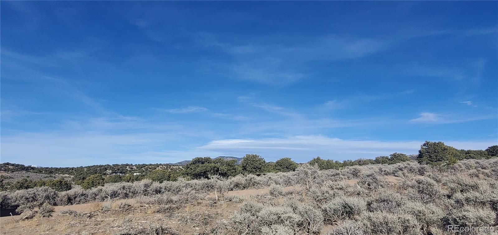 Lot 1099 Cacky Road
