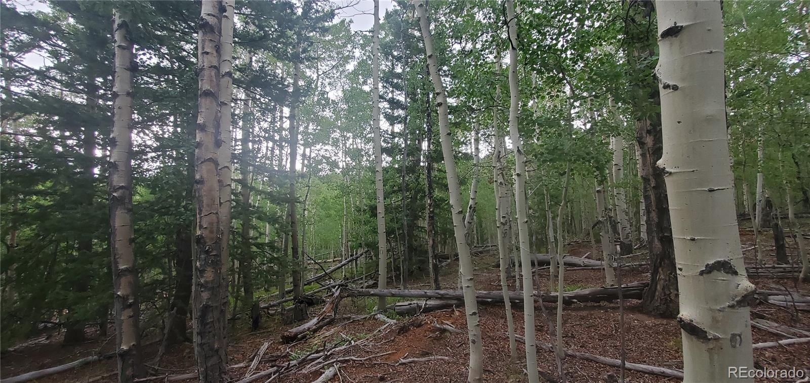 Lot 5837 Sheldon Road