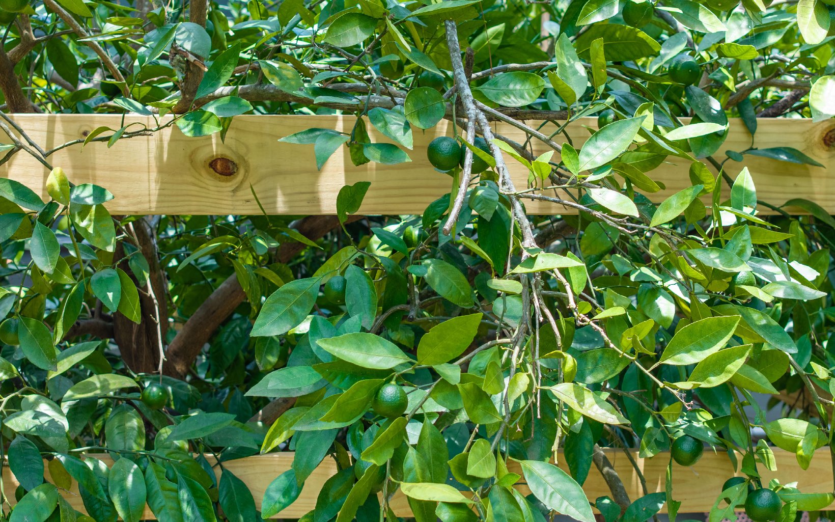 838 NW Banta Acres Rd
