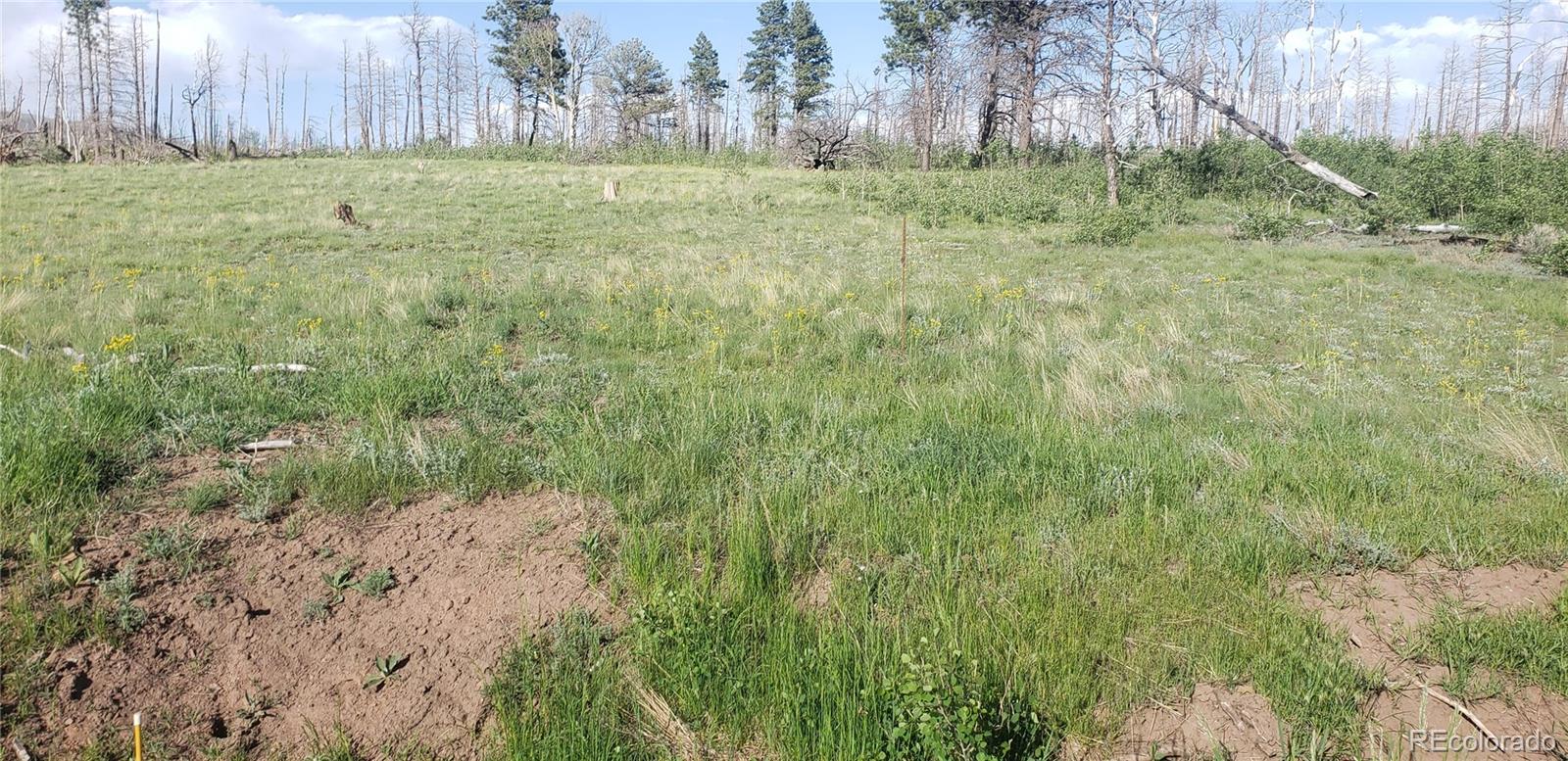Lot 1406 Emery Loop