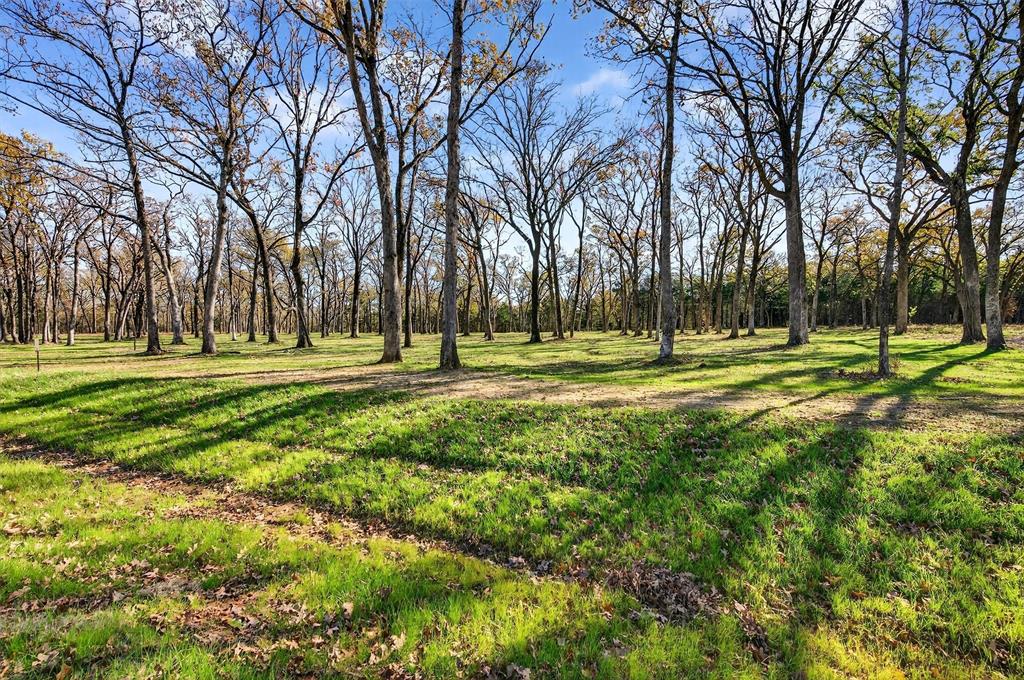 Lot 15 Buck Trail