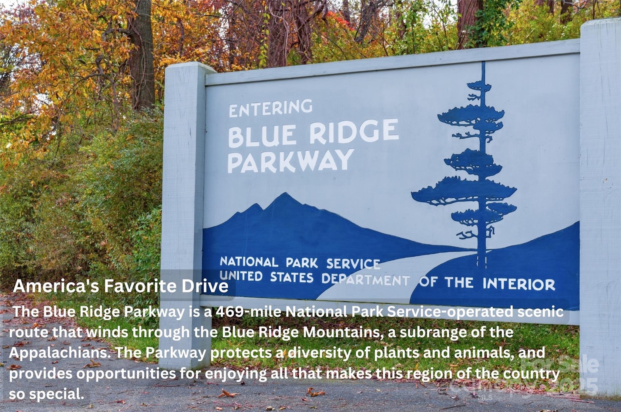 1879 Johns Ridge Parkway Lot 163