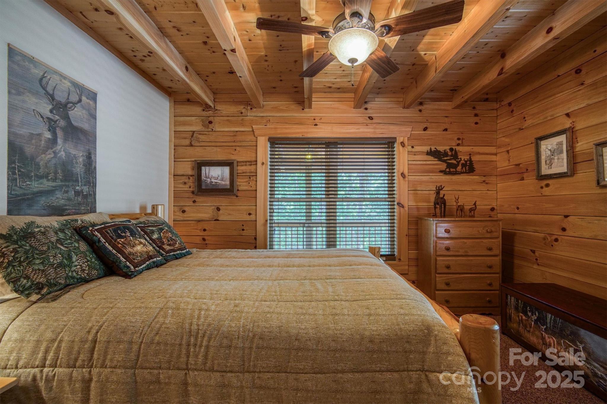 203 Mountain Vista Drive