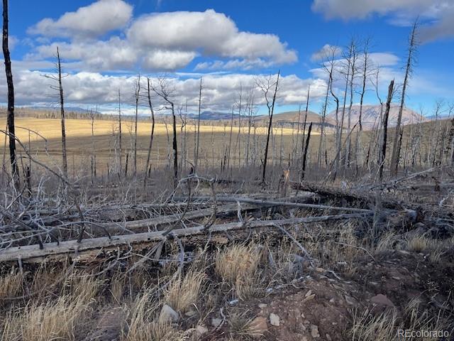 Lot 2397 Petito Drive