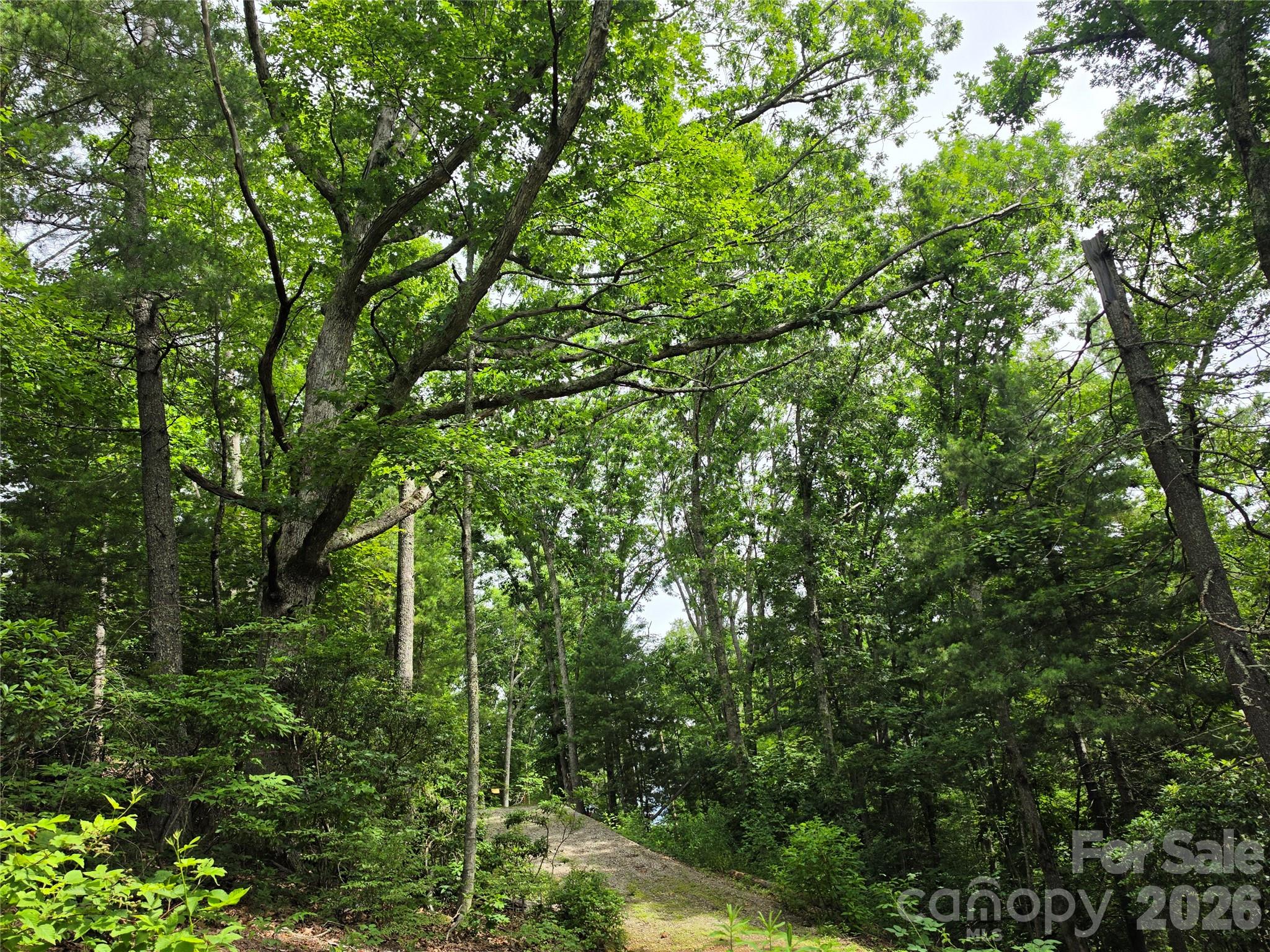 Build Your Mountain Dream in Fairview Forest! Discover your ideal homesite in the sought-after Fairview Forest community—a peaceful, private mountain neighborhood just minutes from Asheville. This beautiful lot comes with big advantages: the driveway is already cut in, saving you time, effort, and thousands in prep costs. Even better, a site plan and architectural home plans are included—another huge savings as you bring your vision to life. Surrounded by native hardwoods and lush rhododendrons, you’ll enjoy privacy, tranquility, and gorgeous seasonal views. This ready-to-build property is a rare find in one of Fairview’s most desirable locations. Fairview Forest is a 700-acre planned community featuring paved roads, community hiking trails, and year-round natural beauty. You’re just 5 miles from the local grocery, post office, and dining, and 5 miles to Trout Lily Organic Grocery & Deli and Whistle Hop Brewery for family fun. Everything you need to start building is already in place! Located just 10 minutes from the Blue Ridge Parkway, this home site offers easy access to one of the nation's most iconic scenic destinations, perfect for hiking, cycling, picnics, and enjoying the beauty of the Blue Ridge Mountains.