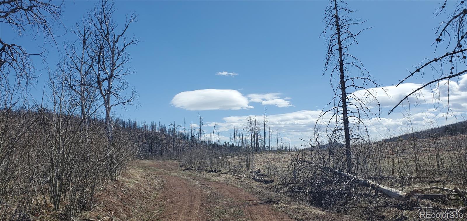 Lot 1667 Towey Place
