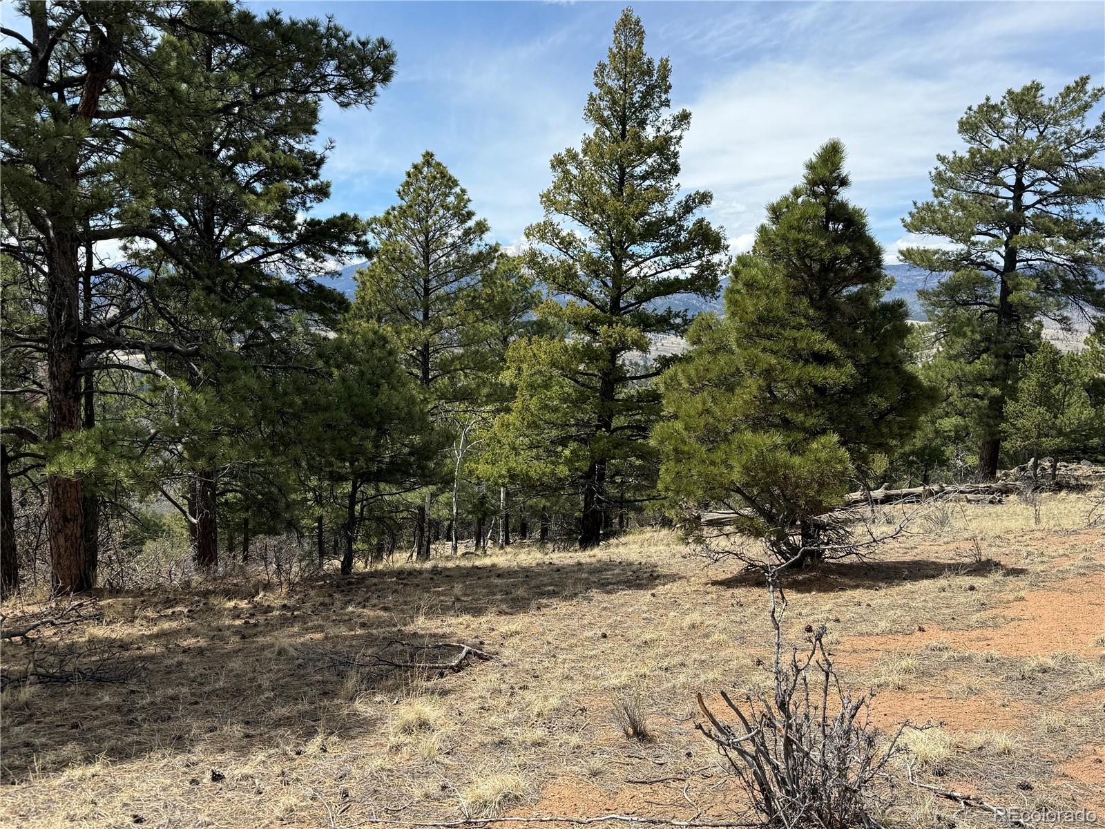 Lot 152 Tahmoush Lane