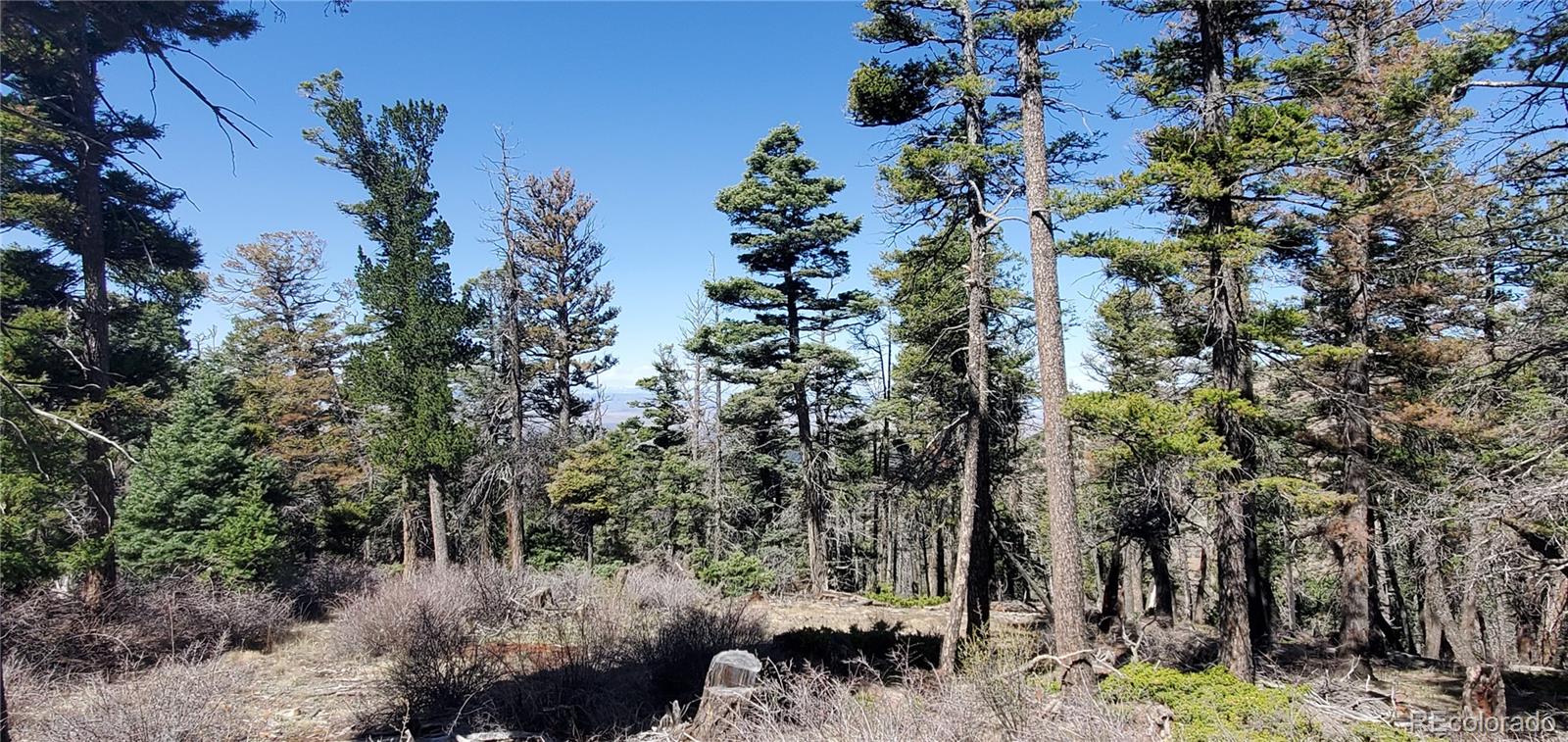 Lot 5802 Tagge Road