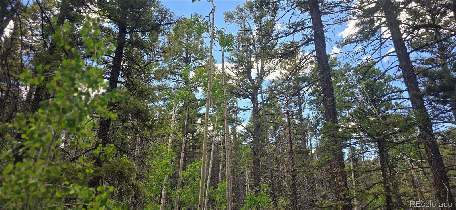 Lot 5778 Balleroy Road