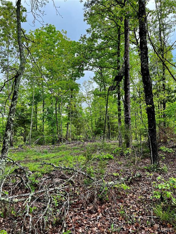 382 Furnace Creek Road