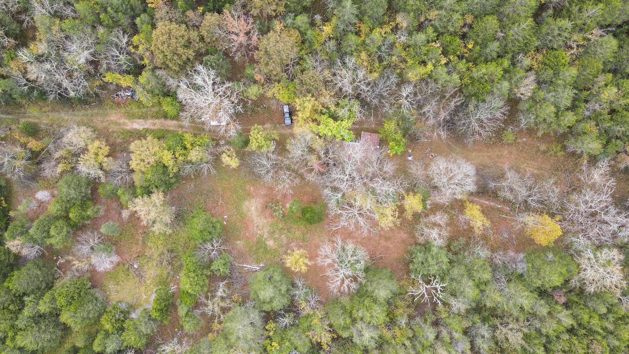 441 Pumpkin Hollow Rd
