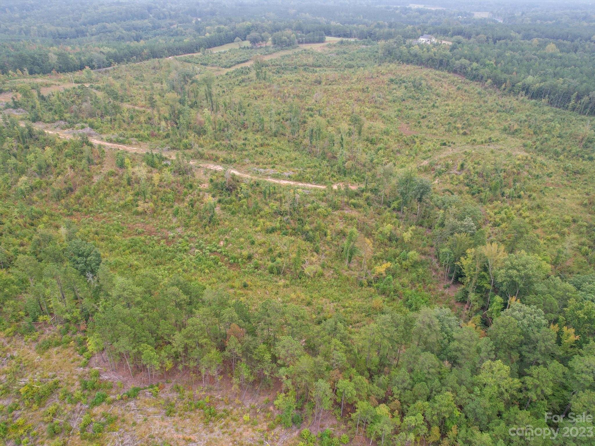 SR 1646 Morgan Sellers Road