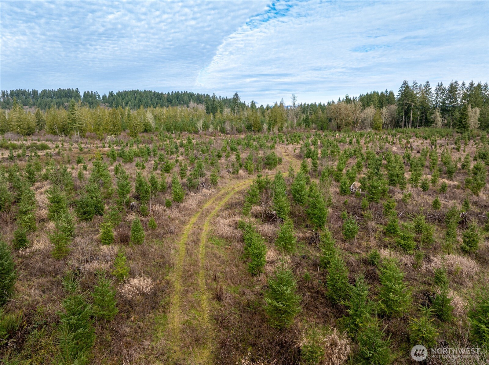 Over 120 acres just north of the Cowlitz River and a short drive to the Cowlitz River boat launch.  About 10 minutes to Onalaska and about 15 minutes to the Mayfield Lake boat launch.  ARL zoning provides potential to segregate the property in to six lots.  Level to rolling topography with building sites that sit above and back from paved, county road access.  Power and phone in the street. Reprod stands of timber in the southwest portion of the property.  Gated access. Buyer to verify all information to own satisfaction.