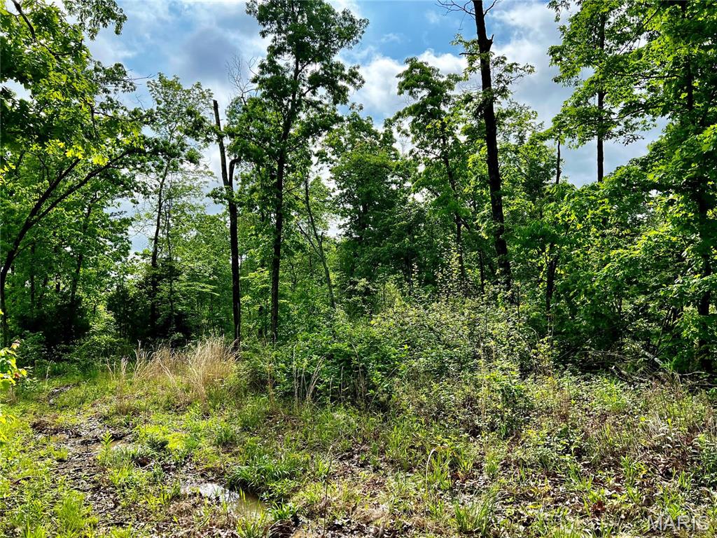 382 Furnace Creek Road