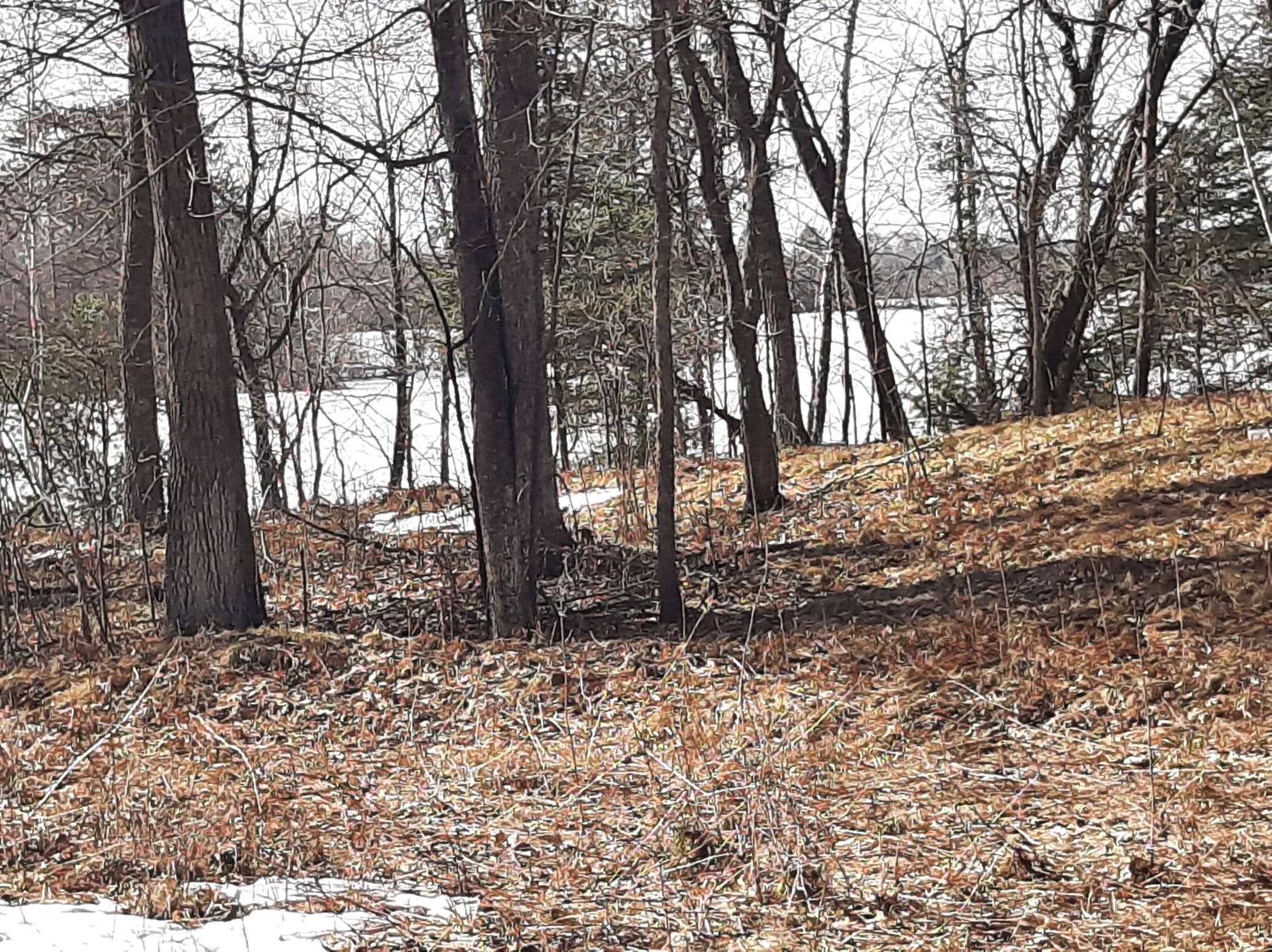 TBD Washburn Bay Trail NE