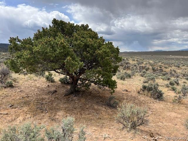 111 Black Elk Trail