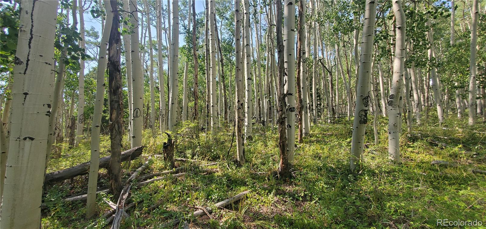 Lot 5837 Sheldon Road