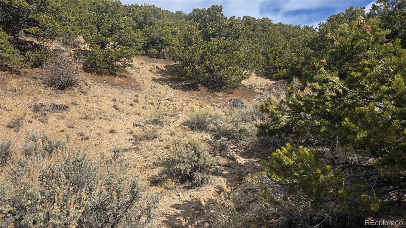 Lot 1628 Hidalgo Road