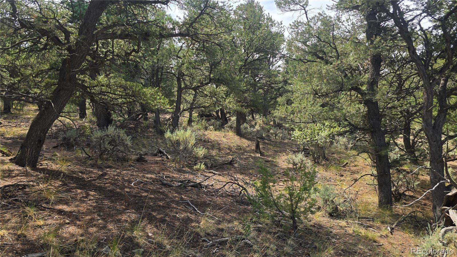 Lot 7892 Tiernan Road