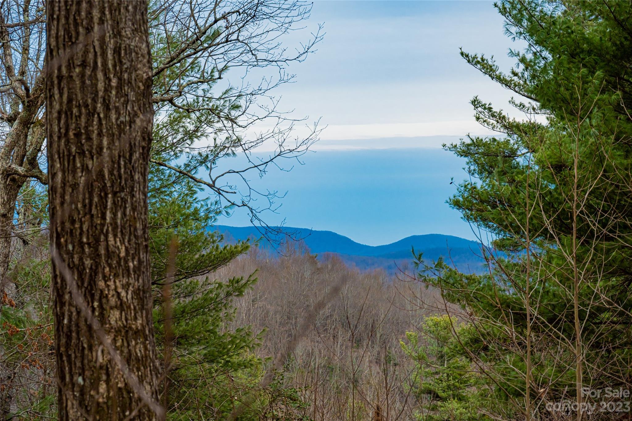 Land for sale in Flat Rock, North Carolina, 3924550