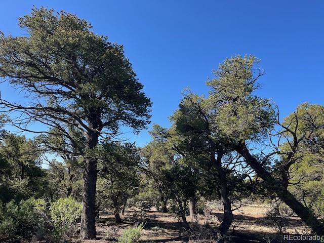 Lot 4 Elk Park Road