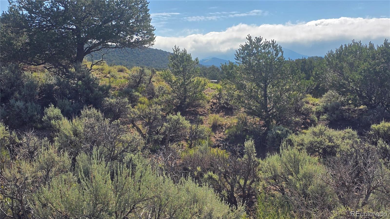 Lot 4296 Renfield Road