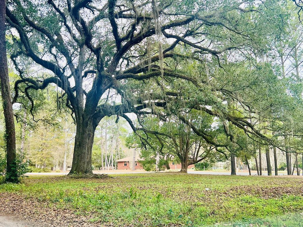 3.97 Acres | Brooks County | Utilities on Site | Priced to Sell* Less than 1 Mile from Thomas County line!  Very Rare, HIGHLY Desirable 3.97-acre tract located just over the Thomas County line, in Brooks County. This property comes complete with a Power Pole and city water connection, already on site, providing added value and convenience!!  The GORGEOUS tree lined, 3.97-acre site is situated on a PAVED, scenic winding countryside road and positioned on an elevated homesite offering excellent potential for new construction or mobile home (must verify through local zoning requirements). A metal-covered, concrete pad suitable for vehicle or equipment parking is also present. The property has existing deteriorated structures (small storage barn, older farmhouse, etc., that are not repairable. The purchase price is based on land value only. This property along with the structures are being conveyed as-is, with the buyer being responsible for any desired cleanup, removal, or improvements. This is a VERY Rare opportunity to purchase small acreage with utilities in place in a highly sought-after area. Priced to sell FAST, AS IS.